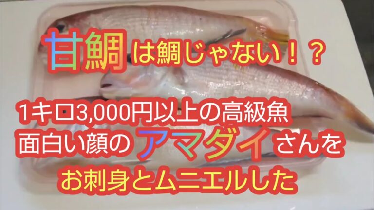 アマダイのさばき方 お刺身とムニエルで食した #asmr