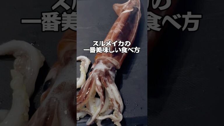 【この食べ方が一番上手い！】スルメイカの極上レシピ！　　#スルメイカ #料理 #簡単レシピ #釣り #イカ釣り