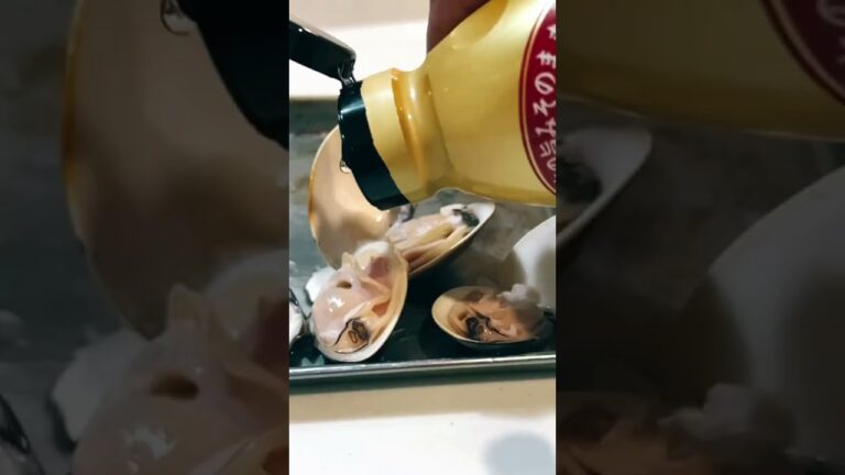 【ほとんどの人が失敗してます】ハマグリの網焼き【あれを使うと大成功】#shorts #おつまみ #蛤蜊 #ハマグリ #はまぐり#焼き方 #おつまみ #失敗#裏技