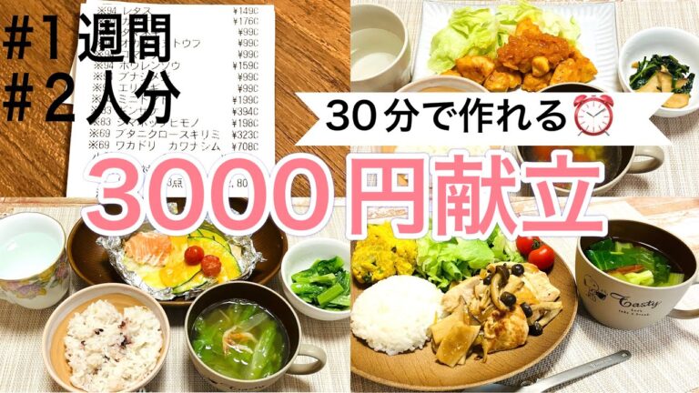 【忙しい新年度に🌸】30分で作れる時短節約レシピ⏰1週間で2人分の食費3000円💰時短も節約も叶える献立🥰#節約レシピ #2人暮らし #節約料理 #節約主婦 #