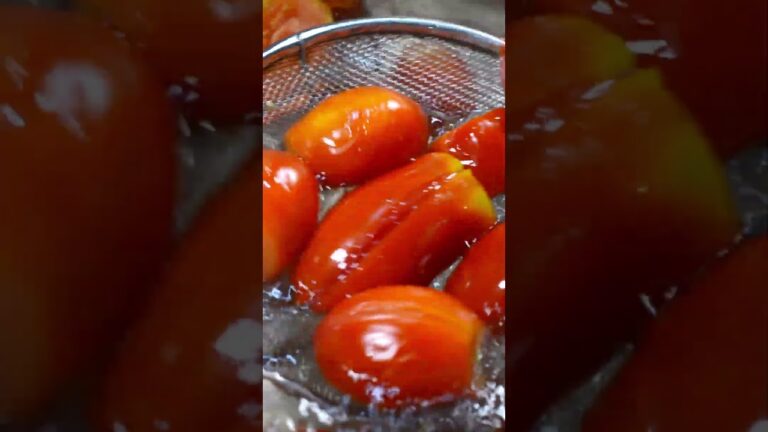 畑で育てた高級調理用トマトで、トマトソース作ってみました。【あんしんごはん料理ch】#shorts