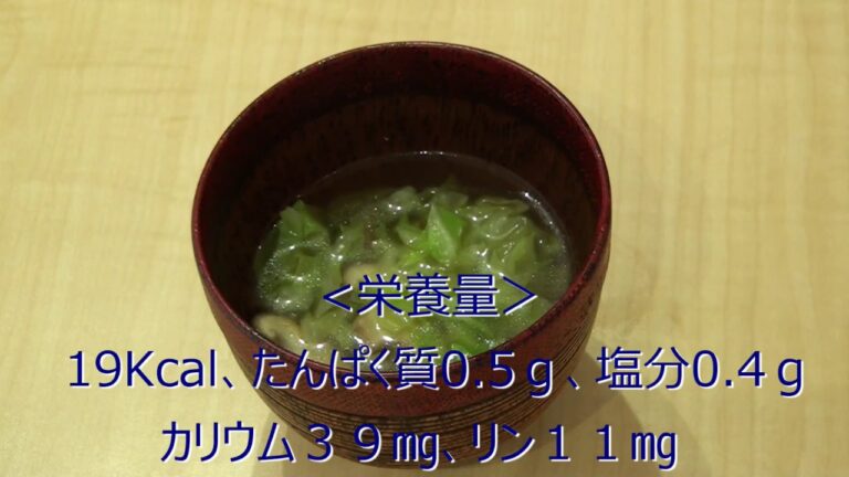 夏の透析食 一口春雨スープ