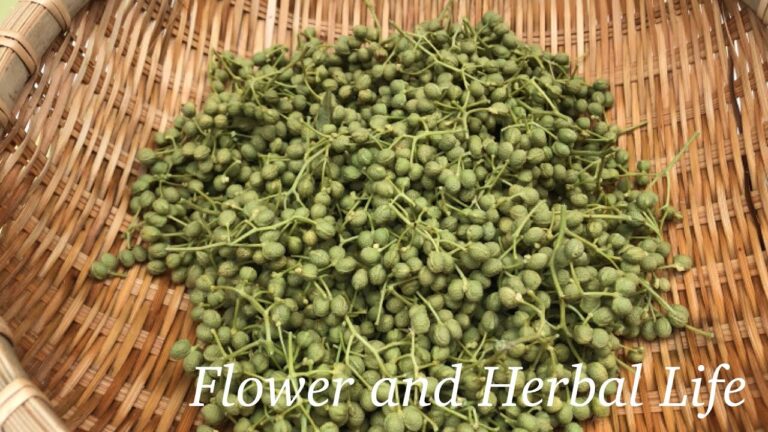 【料理vlog】実山椒のオイル漬け|収穫したグリンピースの皮剥き|ラタトゥイユ|お義母ちゃん自家製味噌の補充|食用ラベンダーの収穫【ハーブと家事】