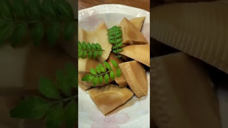 たけのこの煮物　4月19日　＃Shorts