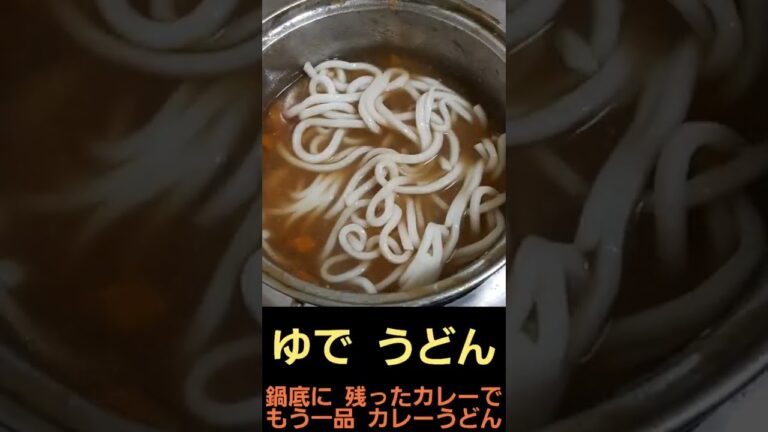 カレー うどん 鍋底に 残ったカレーで もう一品 ニンニク カレー たまねぎ 無くても 美味しい じゃがいも にんじん トリ肉 ニンニク たまご 簡単 料理 調理 2022年7月