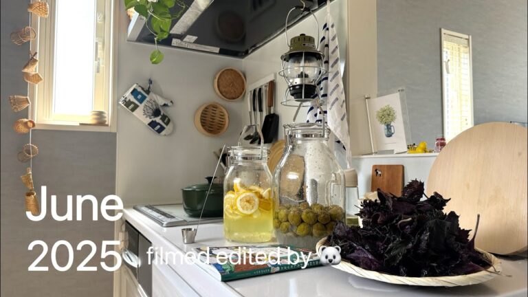 【vlog】6月|赤紫蘇ジュースを作った日