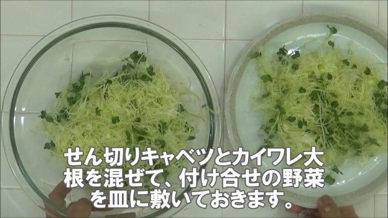 1808_豚ヒレの玉ねぎおろしダレ
