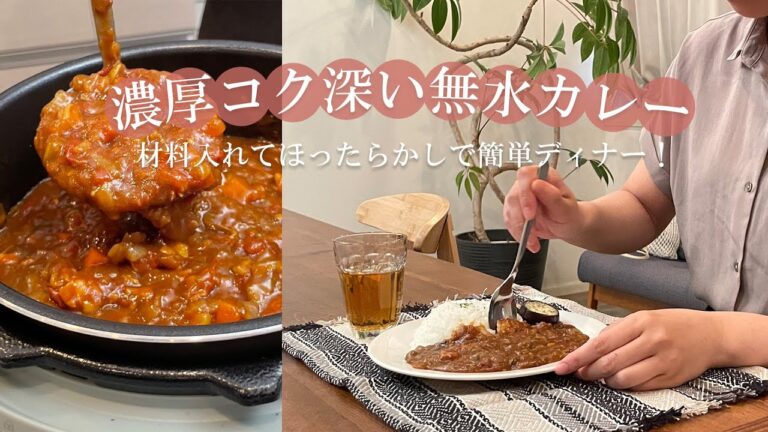 【夏のラクラク夜ごはん】電気圧力鍋で無水カレー作ってみました｜夏ごはん｜アイリスオーヤマ