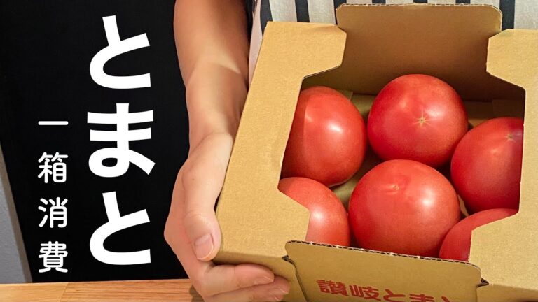 【トマト消費】１箱つかって作り置きと今日の晩ご飯レシピ４選【常備菜】