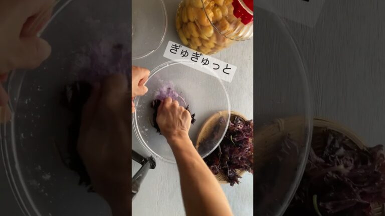 梅干しつくり　赤紫蘇のアク抜き#梅干し