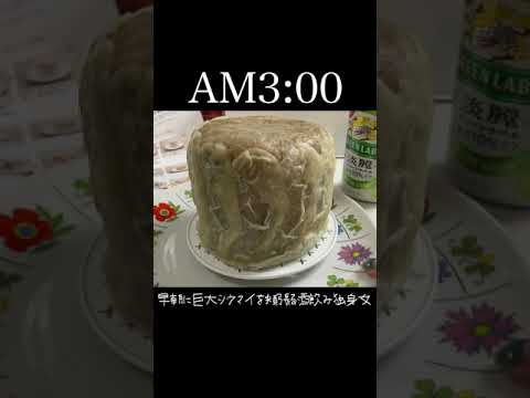 巨大シュウマイを半分に切ったらなんと...#shorts