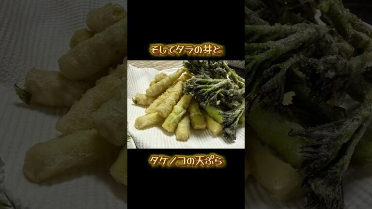 山の恵みづくし#ウド #コシアブラ #タラの芽 #タケノコ #天ぷら #きんぴら　#津軽の山 #山菜 #山菜採り