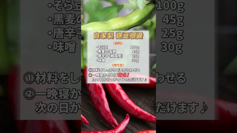 【自家製豆板醤レシピ】麹でつくる発酵調味料は無添加で絶品！旬のそらまめでぜひ作ってみてくださいね♪さらに詳しくは説明欄より本編へ