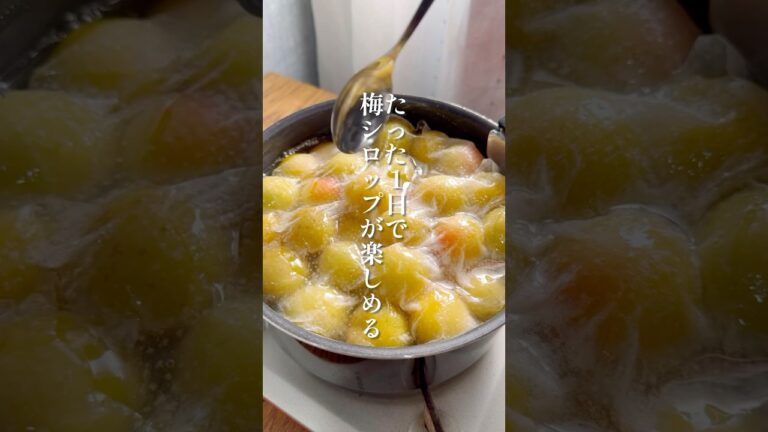 【たった1日で作る梅シロップ】梅の実ふっくら！蜂蜜の優しい味わい#簡単レシピ #梅シロップ #梅仕事 #蜂蜜