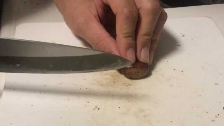 栗の鬼皮剥き！簡単で下処理不要で料理しない人でもむける^_^