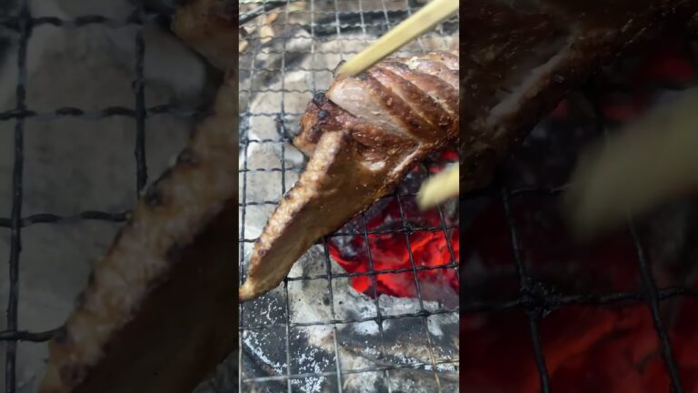 かつおのタタキを塩焼きにしてしまう動画