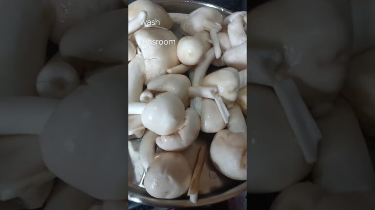 #bondachhatu recipe #masroomrecipe #shortvideo #food #dinnerrecipe #indianfood #cooking #mashroom