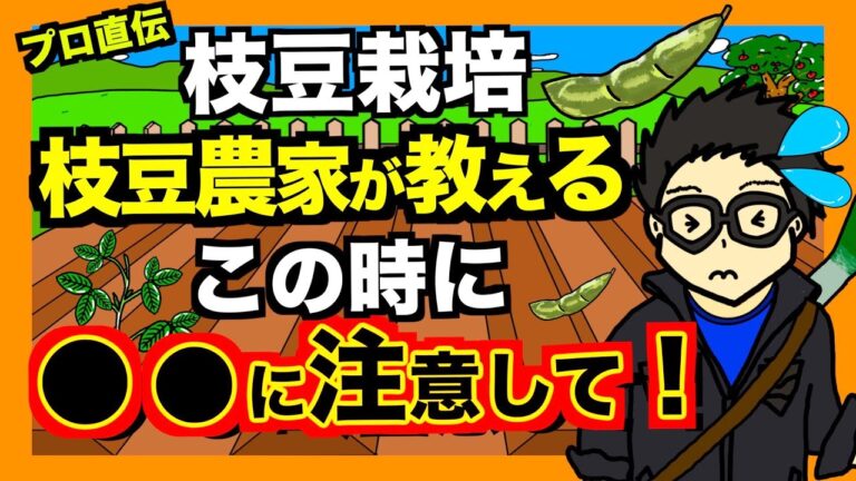 【枝豆農家直伝】枝豆栽培この時期に注意すること！花がついたらこれをして下さい！【アニメでわかる家庭菜園・ガーデニング解説】
