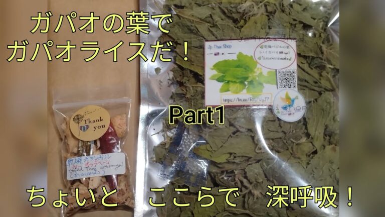 ガパオの葉でガパオライスだ！　ちょいと　ここらで　深呼吸！　Part1