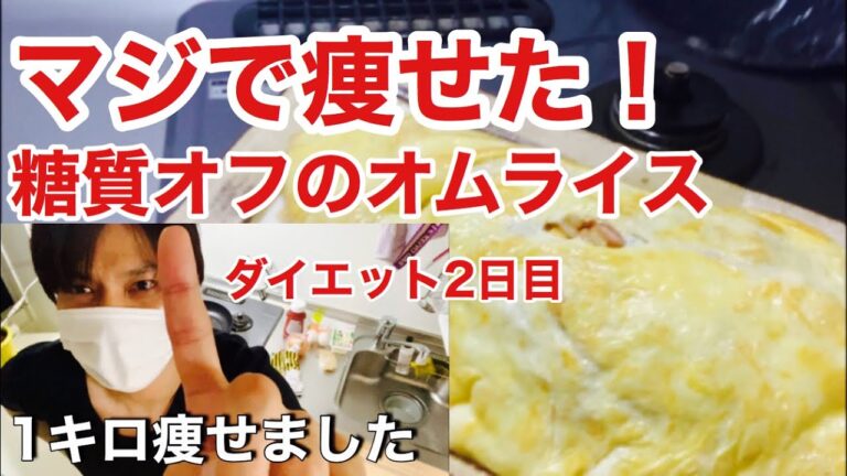 【糖質制限ダイエット】糖質制限ダイエットに朗報！あのオムライスが食べれる！食べた時の満足感が最高なオムライス！