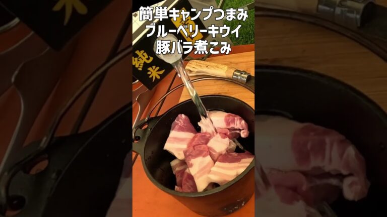 フルーティーな甘辛が最高に美味い！豚バラのブルーベリーキウイ煮込み《簡単キャンプ飯》 #キャンプ飯 #キャンプ料理 #ダイソーダッチオーブン