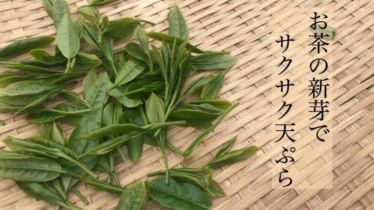 お茶の新芽でサクサク天ぷら／茶農家レシピ／いくらでも食べられる！