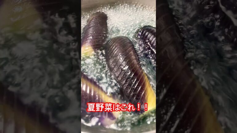 【簡単レシピ】夏野菜のお浸しが簡単に作れる秘密の方法！【ダイエット】