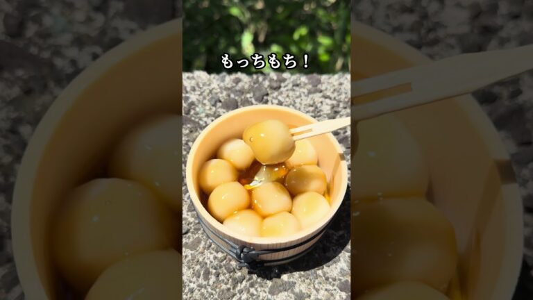 【登別温泉グルメ】豆腐だんごがもっちもちすぎた！みたらし団子好き必見｜甘味 日和堂レビュー　#shorts #北海道グルメ #北海道ドライブ