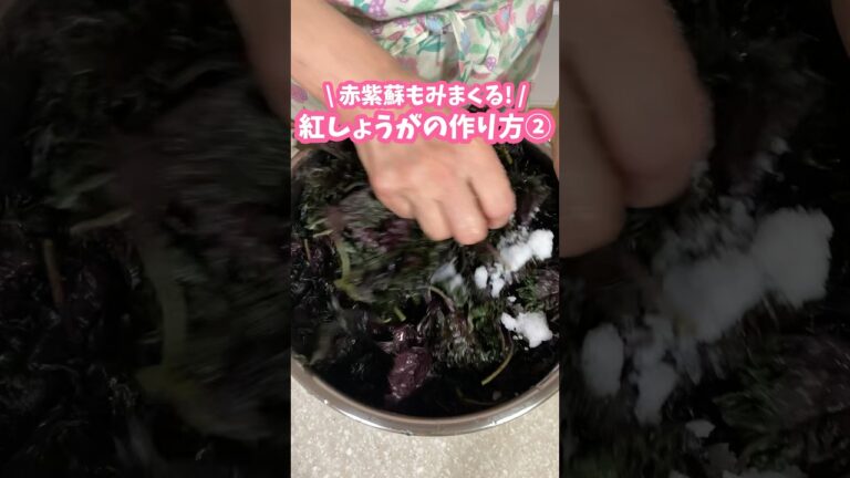 紅生姜の作り方②🫚赤紫蘇に塩入れて揉みまくる🧂#家庭料理 #料理動画 #紅生姜