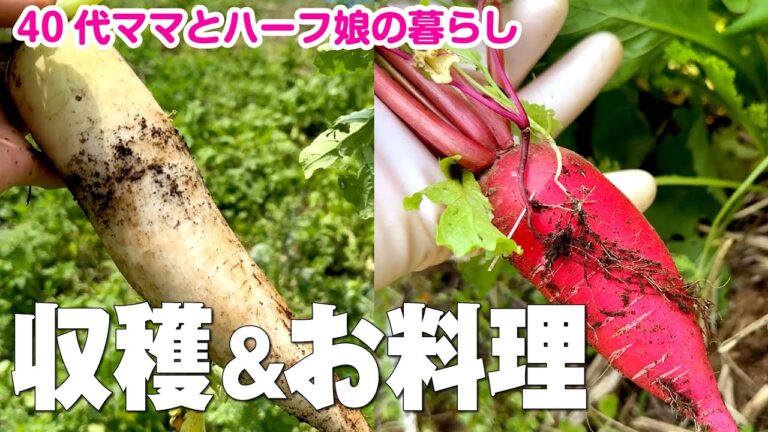 【収穫体験】自分で採った野菜をお料理した日vlog 楽しいけど疲れたよ