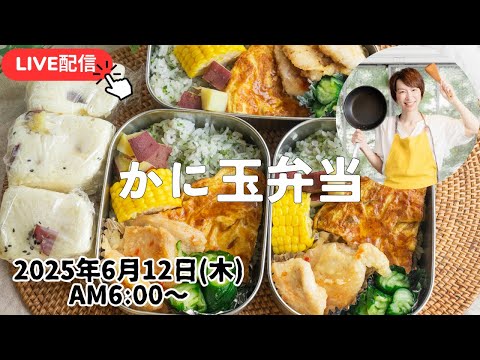 【6月12日朝LIVE】かに玉弁当  Crab and egg lunch box