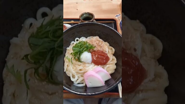 【讃岐うどん】【梅ぶっかけ】【たねき】