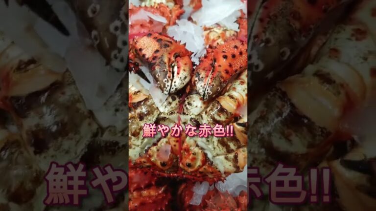 花咲ガニ、茹で上げの瞬間！産地直送の旬を味わう🦀