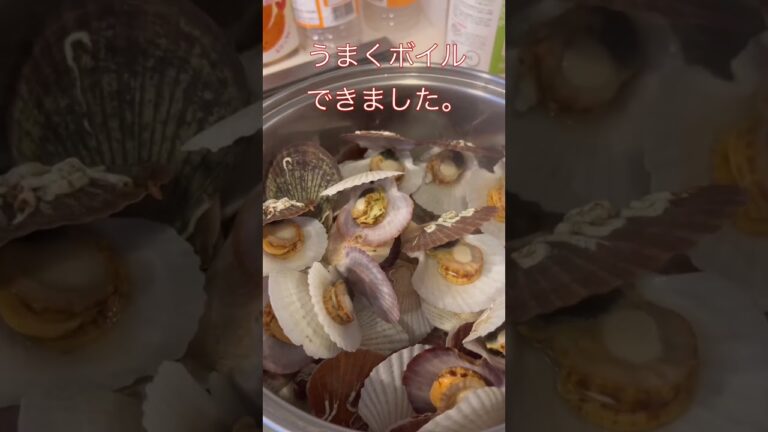 ベビーホタテをボイルしてみた。#shorts