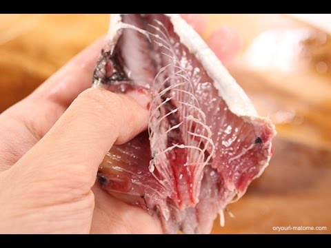 イワシのさばき方～手開きの方法～