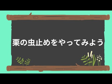 栗の虫止めをやってみよう