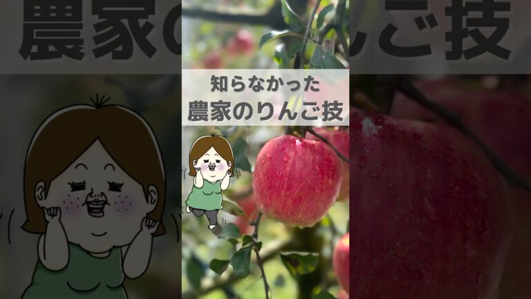 初めて知った！りんご🍎技 #ライフハック #レシピ #簡単料理 #料理 #豆知識 #時短レシピ #りんご #農家 #shorts #果物 #知って得する #フルーツ #フルーツカット