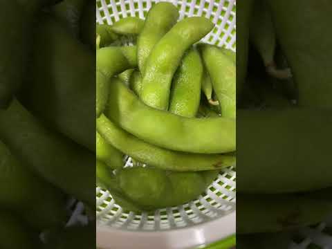 世界よ！これが日本の美味しい食べ物飲み物 枝豆　1405