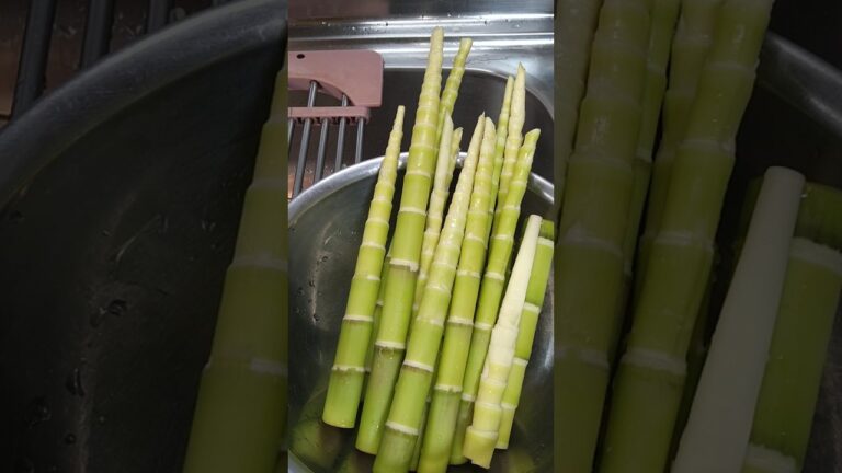 破竹（はちく）炊き込みご飯食べたいと思いませんか？ #料理  #簡単レシピ  #炊き込みご飯  #たけのこ