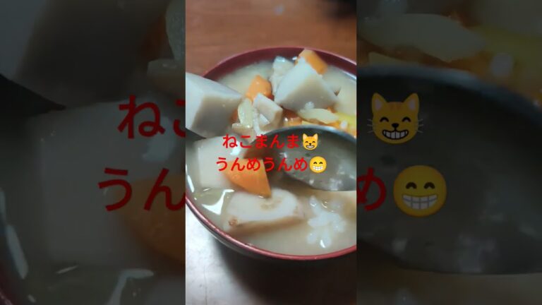 今年86歳になったオババ様が作った里芋ゴロゴロ味噌汁を白飯にぶっかけてねこまんまにした人 #味噌汁 #冷や汁 #ねこまんま #さといも #椎茸 #人参 #味噌 #お米 #米飯 #ご飯 #ご飯動画 #飯