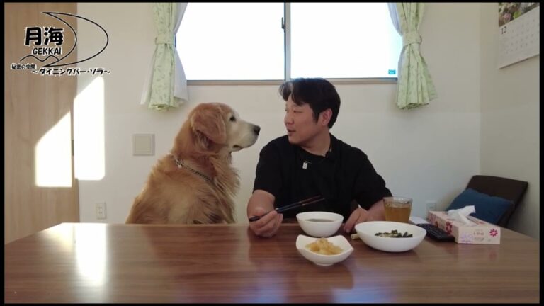【切り抜き】数百年続く我が家のお雑煮。歴史を味わう。ゴールデンレトリバー月海そら