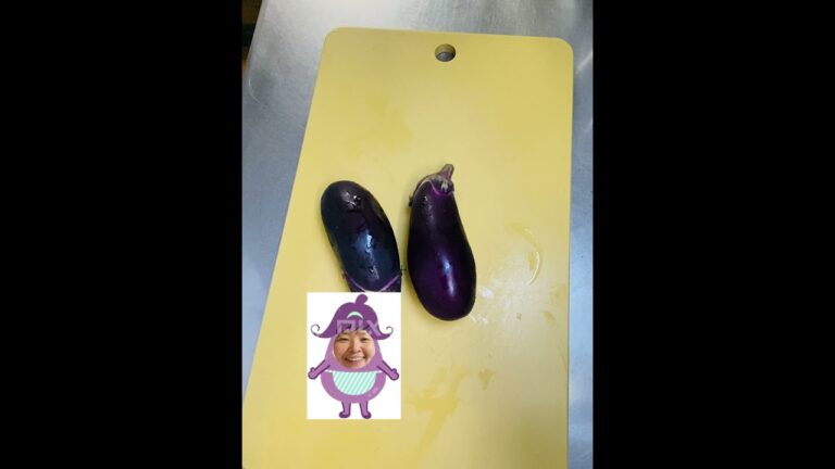 鶏出汁で煮る♡茄子味噌🍆🍗🍗【50秒】