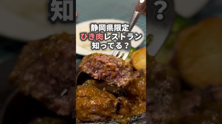 【静岡】静岡県限定のひき肉レストラン🍽️大人気の炭焼きひき肉料理を紹介するよ✨#コクあり #コクありグルメ #静岡グルメ #ひき肉です