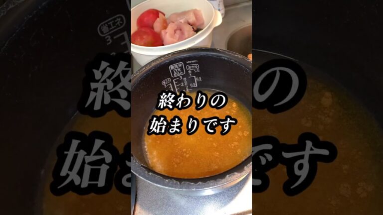 【炊飯器カレー】28歳借金貧乏フリーターの不味過ぎた朝ご飯 #shorts
