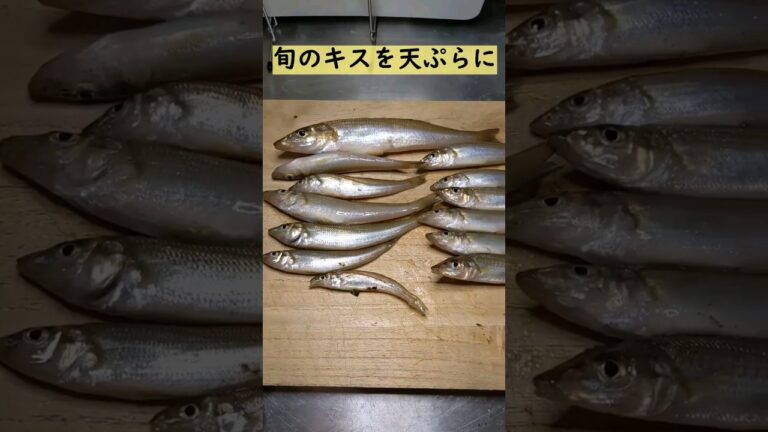 旬のキスを天ぷらにして食べる