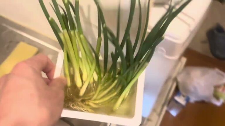 日本で牛肉と大根のスープを作るMaking Beef and Radish Soup in Japan