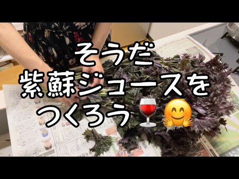 美容と健康🥤赤しそジュース🥤の作り方