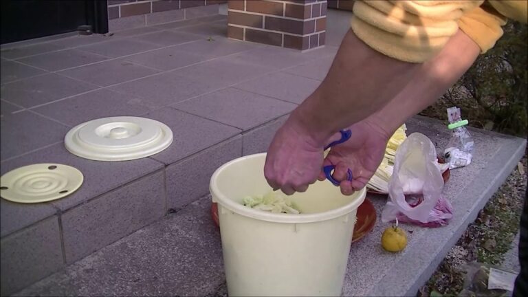 白菜の漬物作り