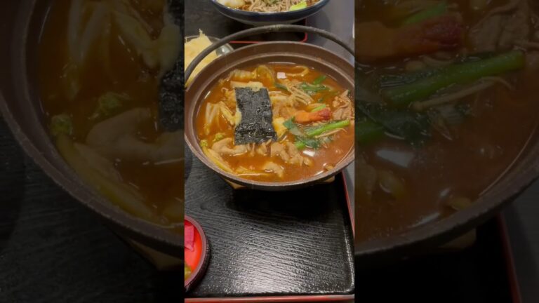 #shorts  天ぷら味噌煮込みうどん定食　そば処山科　豊川市