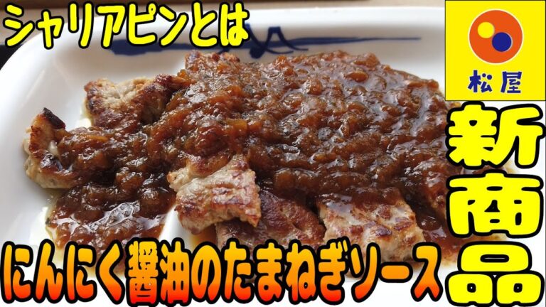 新商品！シャリアピンってにんにく醤油のたまねぎソースってことね【昼めしジプシー】松屋